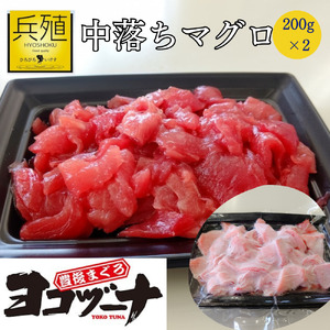 本まぐろ ヨコヅーナ 中落ちセット 200g×2 | 本まぐろ 津久見市