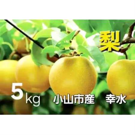 【5kg】栃木県小山市産　幸水 梨【1617300】