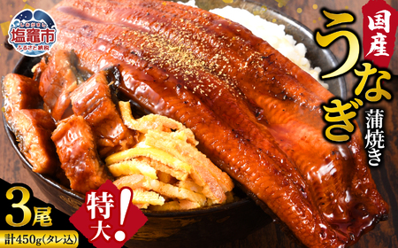 鰻 国産 うなぎ蒲焼き 3尾セット (計450g) 鰻 | nh00004