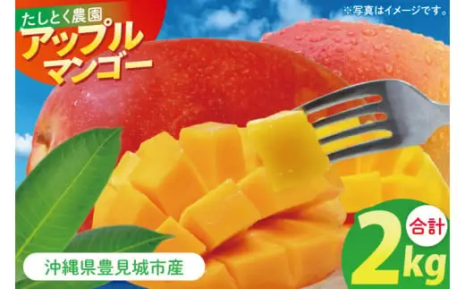 沖縄県豊見城市産アップルマンゴー 約2kg 