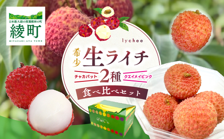【先行予約/数量限定】希少 綾生ライチ 2種食べ比べセット/ 宮崎県産 ライチ 国産【JA綾町】_A0114-234