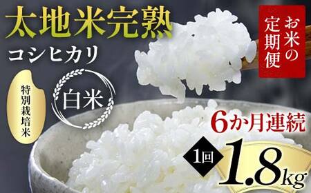 【先行予約】お米の定期便 特別栽培米 太地米完熟 【こしひかり】 白米1.8kg×6か月連続 ブランド米 お米 精米 白米 人気 F7X-0685
