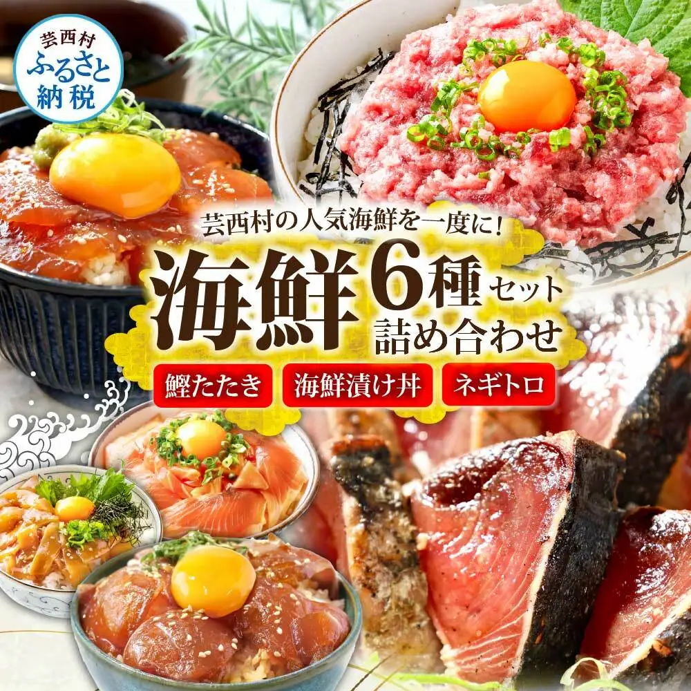 【ふるなび限定】かつおのたたき600g ネギトロ80gx2P 漬け丼の素80g×4P FN-Limited-PR
