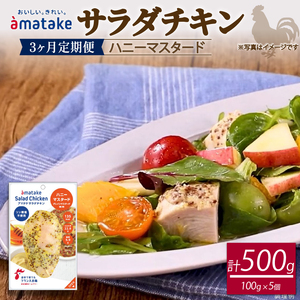 【3ヶ月/定期便】 サラダチキン ハニーマスタード味 100g×5個 計500g 3回 リン酸不使用 冷凍 鶏肉 サラダ スパイス お弁当 おかず