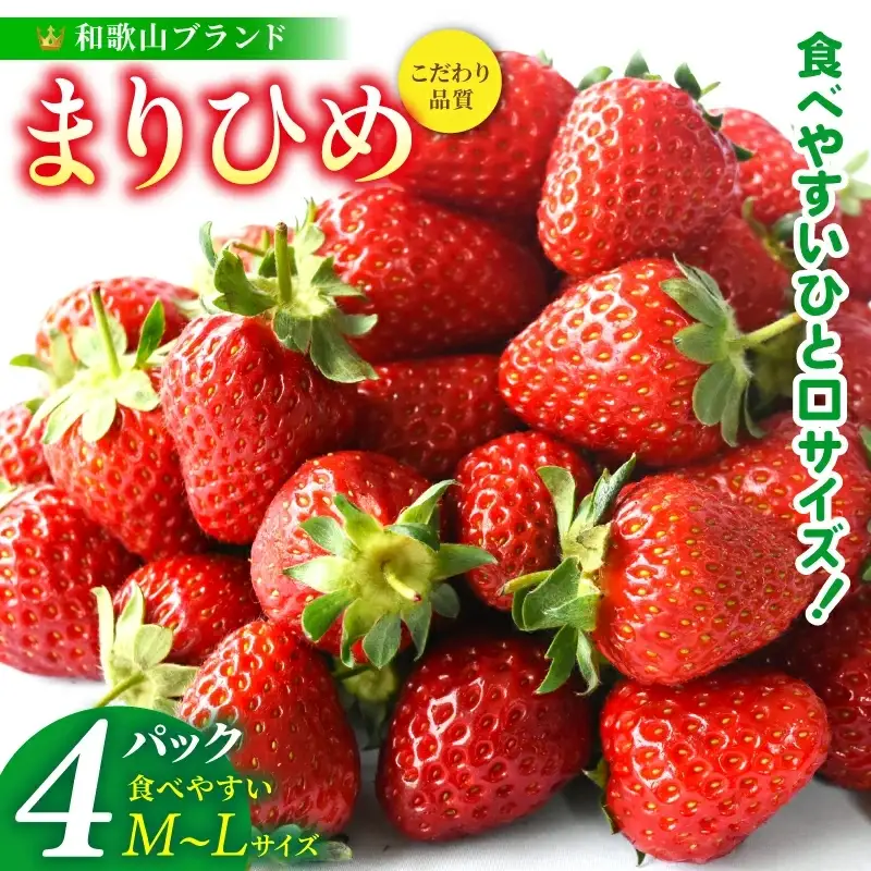 まりひめ イチゴ 4パック 食べやすいひと口サイズ M～L（15粒～20粒入×4パック）【先行予約】/ いちご 苺 果物 和歌山 フルーツ ※2027年1月中旬～3月下旬頃順次発送（お届け日指定不可） ※離島への配送不可【kgr500-ml-4】