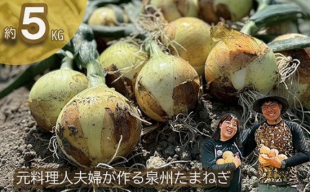 岸上農園　泉州玉ねぎ　約５kg