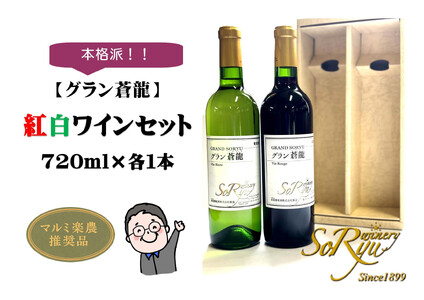 ワイン 本格派【グラン蒼龍】赤・白（県産葡萄使用）各1本セット（MRN）B12-312