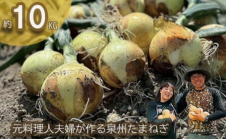岸上農園　泉州玉ねぎ　約10kg
