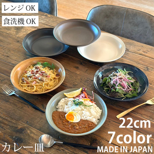 【美濃焼】 カレー皿 22cm / プレート 深皿 1枚 黒マット 瑞浪市 / 窯元ロングアイランド おしゃれ 食器 シンプル レンジ対応 食洗機対応[AZCU169]