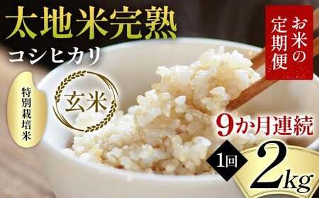 【先行予約】お米の定期便 特別栽培米 太地米完熟 【こしひかり】 玄米2kg×9か月連続 ブランド米 お米 人気 F7X-0690