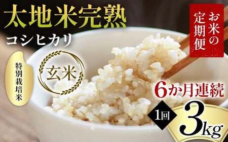 【先行予約】お米の定期便 特別栽培米 太地米完熟 【こしひかり】 玄米3kg×6か月連続 ブランド米 お米 人気 F7X-0697