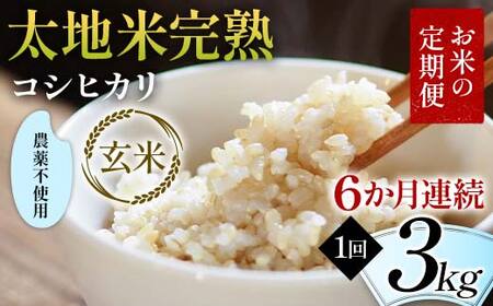 【先行予約】お米の定期便 農薬不使用米 太地米完熟 【こしひかり】 玄米3kg×6か月連続 ブランド米 お米 人気 F7X-0729