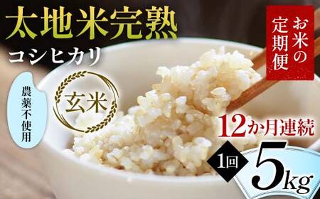 【先行予約】お米の定期便 農薬不使用米 太地米完熟 【こしひかり】 玄米5kg×12か月連続 ブランド米 お米 人気 F7X-0739