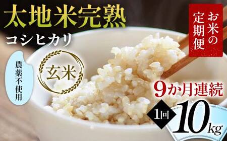 【先行予約】お米の定期便 農薬不使用米 太地米完熟 【こしひかり】 玄米10kg×9か月連続 ブランド米 お米 人気 F7X-0746
