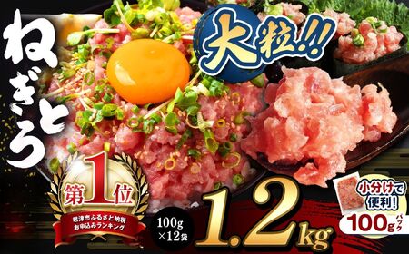 ねぎとろ 1200g（100g×12袋） スピード発送 | 清幸丸水産 最短7日以内発送 大人気 ユッケ 手巻き寿司 海鮮丼 マグロのユッケ まぐろ 海鮮 小分け 100g パック 千葉県 君津市