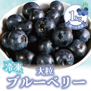 【先行予約】冷凍ブルーベリー 約1kg（1袋500g×2） ブルーベリー