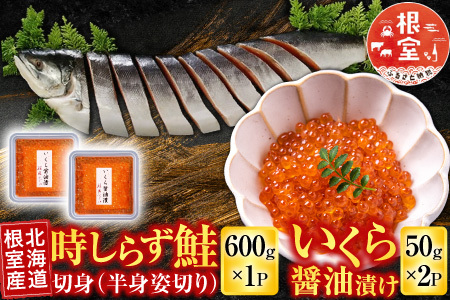 【北海道根室産】時しらず鮭600g×1P・いくら醤油漬け50g×2P B-42106