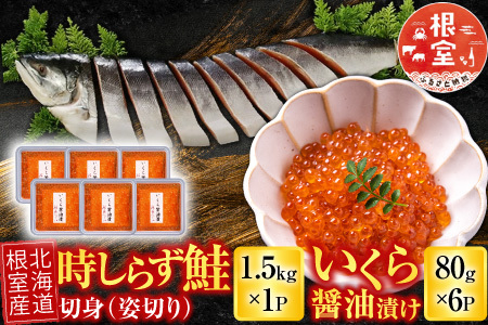 【北海道根室産】時しらず鮭1.5kg×1P・いくら醤油漬け80g×6P D-42067
