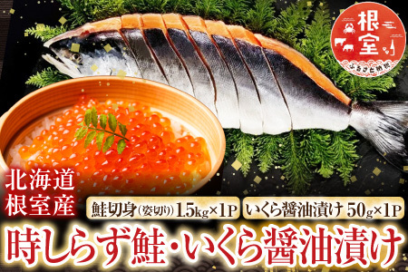 【北海道根室産】時しらず鮭1.5kg×1P・いくら醤油漬け50g×1P F-42013
