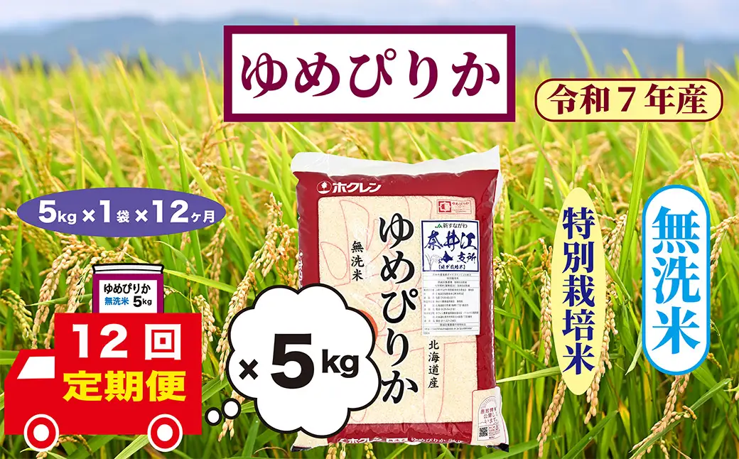 【定期便12回】北海道奈井江町　特別栽培米　ゆめぴりか　5kg【無洗米】