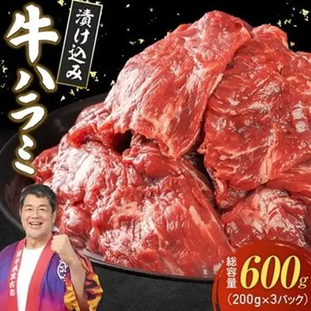 吉田精肉店の漬け込み牛ハラミ 600g(200g×3パック)_600g ハラミ 焼肉 ハラミ BBQ ハラミ 肉厚 ハラミ 牛肉 ハラミ _【配送不可地域：離島】【1633988】