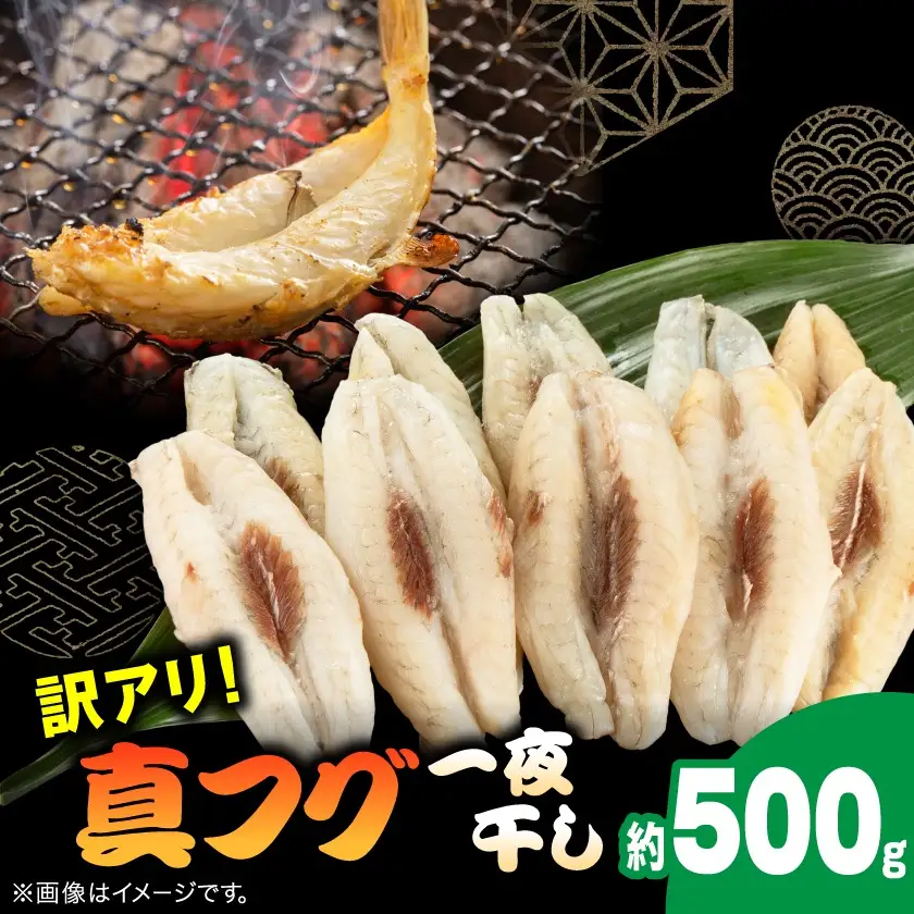 【訳アリ】真フグ一夜干し約500g【配送不可地域：離島】【1608831】