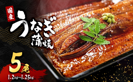 うなぎ 国産 蒲焼き 5尾 (1.2kg～1.25kg) 詰め合わせ セット うなぎ蒲焼 国産うなぎ 国産うなぎ蒲焼 うなぎの蒲焼 冷凍ウナギ 冷凍食品 冷凍 惣菜 おかず 魚 魚介 魚介類 大阪 大阪府 岸和田市