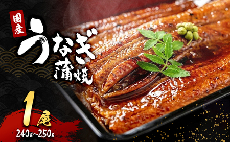 うなぎ 国産 蒲焼き 1尾 (240g～250g) うなぎ蒲焼 国産うなぎ 国産鰻 国産うなぎ蒲焼 うなぎの蒲焼 鰻の蒲焼 冷凍ウナギ 冷凍食品 冷凍 惣菜 おかず 魚 魚介 魚介類 大阪 大阪府 岸和田市