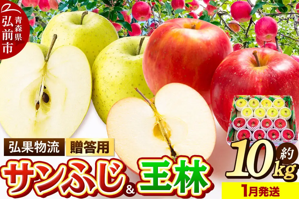 【27年1月発送】りんご 贈答用 サンふじ・王林 詰め合わせ 約10kg