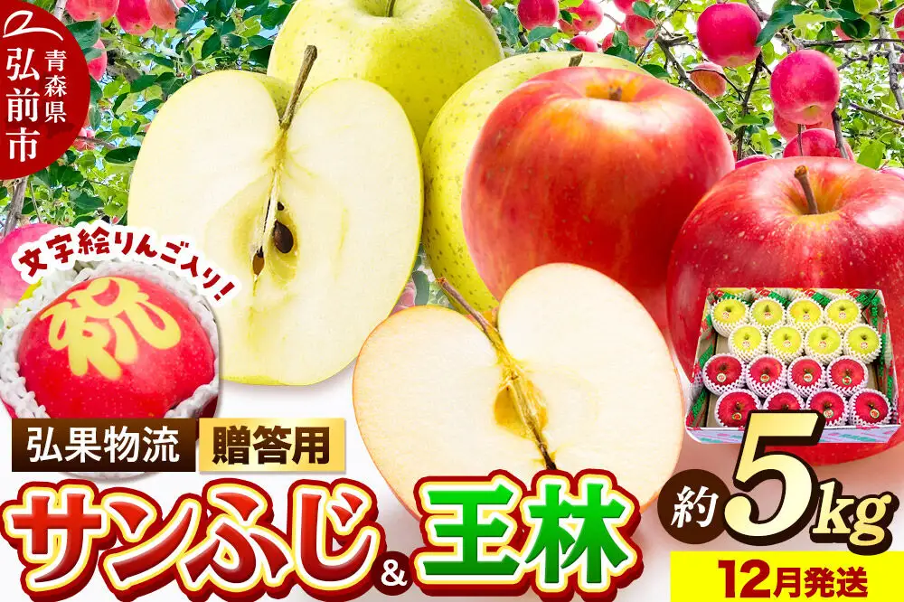 【26年12月発送】りんご 贈答用 サンふじ・王林＋文字絵入りりんご1個 約5kg