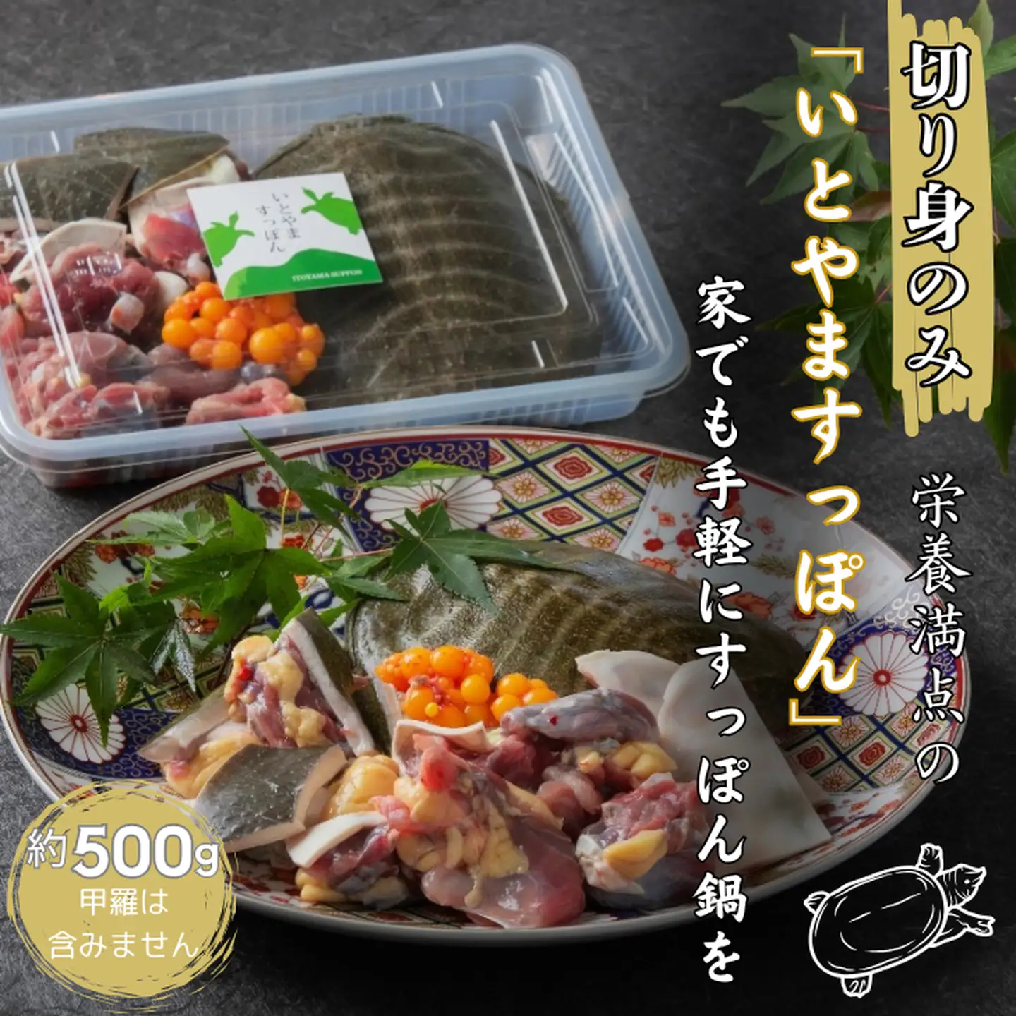 【切り身のみ】栄養満点の「いとやますっぽん」ですっぽん鍋を 500g 佐賀県産 スッポン 冷凍 鍋 カット済み 国産 簡単調理 美容 健康 コラーゲン 九州 佐賀県 佐賀市 ヤマト水産：B315-010