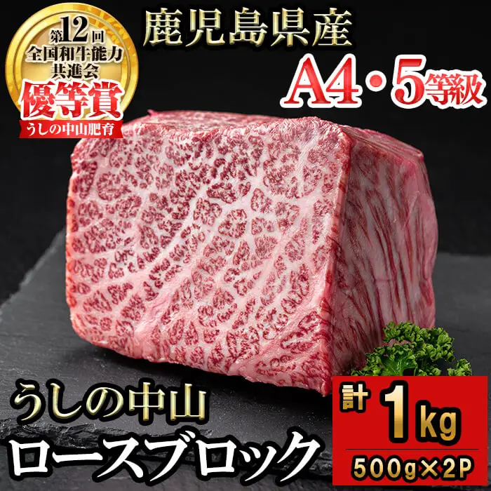 ロースブロック 計1kg(500g×2P) 黒毛和牛 和牛 肉 牛肉 国産 九州産 鹿児島県産 ロース 焼肉 ローストビーフ たたき 煮込み 日本一 冷凍 ブロック肉 BBQ バーベキュー ステーキ e5-002