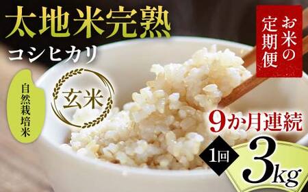 【先行予約】お米の定期便 自然栽培米 太地米完熟 【こしひかり】 玄米3kg×9か月連続 ブランド米 お米 人気 F7X-0762