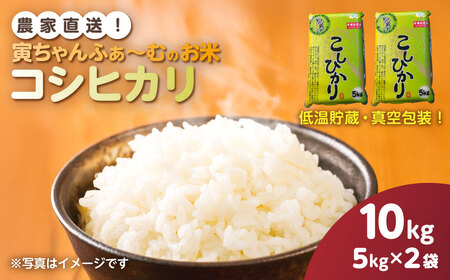 【先行予約2026年10月上旬から発送開始】コシヒカリ　10kg（5kg×2袋）令和8年産　 【 ふるさと納税 人気 おすすめ ランキング 米 精米 白米 お米 こしひかり コシヒカリ 千葉県 山武市 送料無料 】SMBX004
