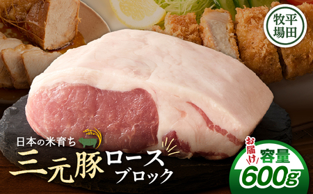 【 平田牧場 】 三元豚 ロース ブロック 600g T036-014 肉 豚肉