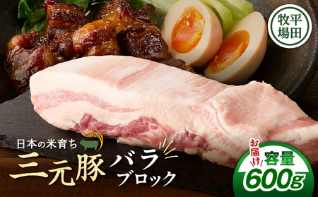 【 平田牧場】 三元豚 バラ ブロック 600g T036-015 肉 豚肉