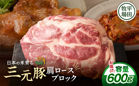 【 平田牧場 】 三元豚 肩ロース ブロック 600g T036-016 肉 牛肉