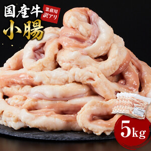 《業務用・訳アリ》国産牛　小腸　5kg