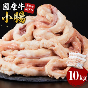 《業務用・訳アリ》国産牛　小腸　10kg