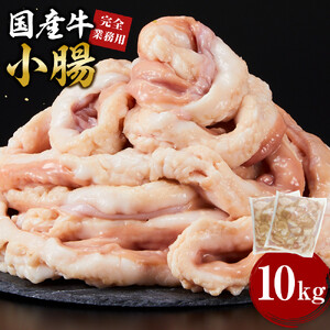 《完全業務用》国産牛　小腸　10kg