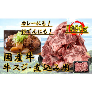 国産牛　スジ　1kg