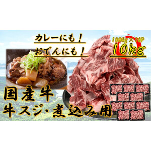 国産牛　スジ　10kg