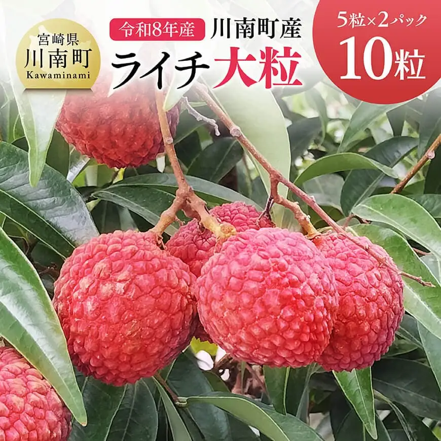 【令和8年産】川南町産ライチ（大粒）10粒(5粒×2パック) 【 国産ライチ フルーツ デザート 宮崎県産 】