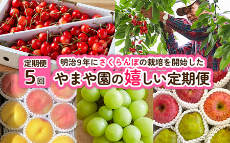 【定期便5回】明治9年にさくらんぼの栽培を開始したやまや園の嬉しい定期便 FY25-256