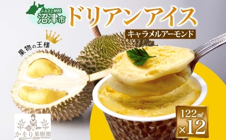 ドリアン ココナッツ キャラメルアーモンド アイスクリーム 122ml 12個 ココナッツ キャラメル