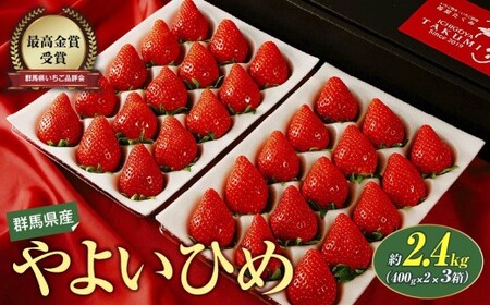 いちご やよいひめ400g×2 3箱 計2,400g 2027年 先行予約｜いちご 群馬県 前橋市