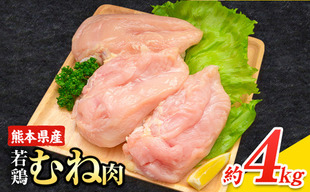 大容量 鶏肉 若鶏むね肉 4kg 《30日以内に出荷予定(土日祝除く)》