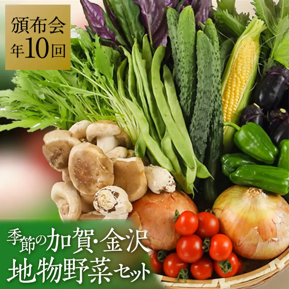 ★【全10回】JA金沢市 季節の加賀野菜・金沢地物野菜セット頒布会（毎月１回）