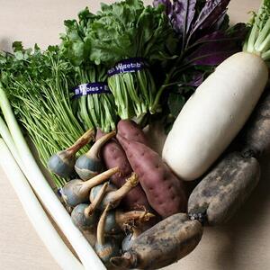 加賀野菜セット