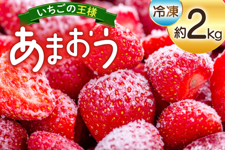 いちご 冷凍 あまおう 約2kg [mhshops 福岡県 筑紫野市 21761026]